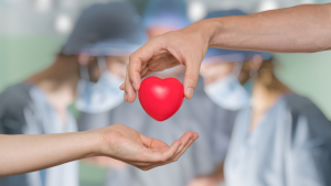 Día Internacional del Trasplante de Órganos y Tejidos